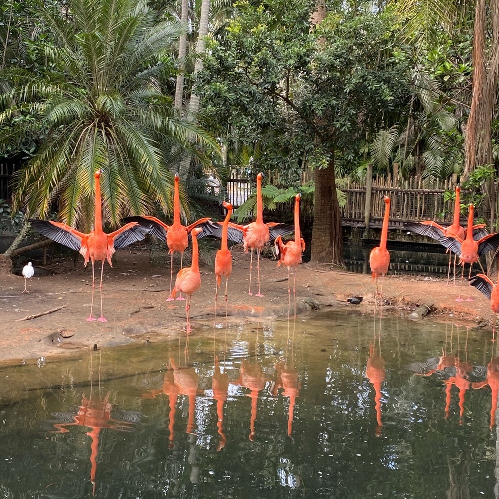 Meet your Posher, Melanie